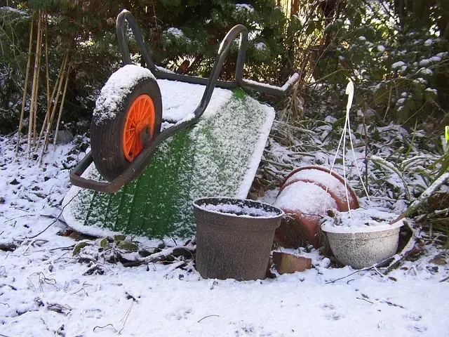 Que faire on au jardin en février  ?